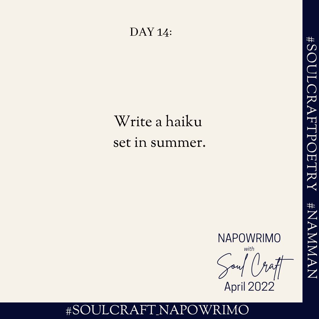 Summer Scenes – A Haiku