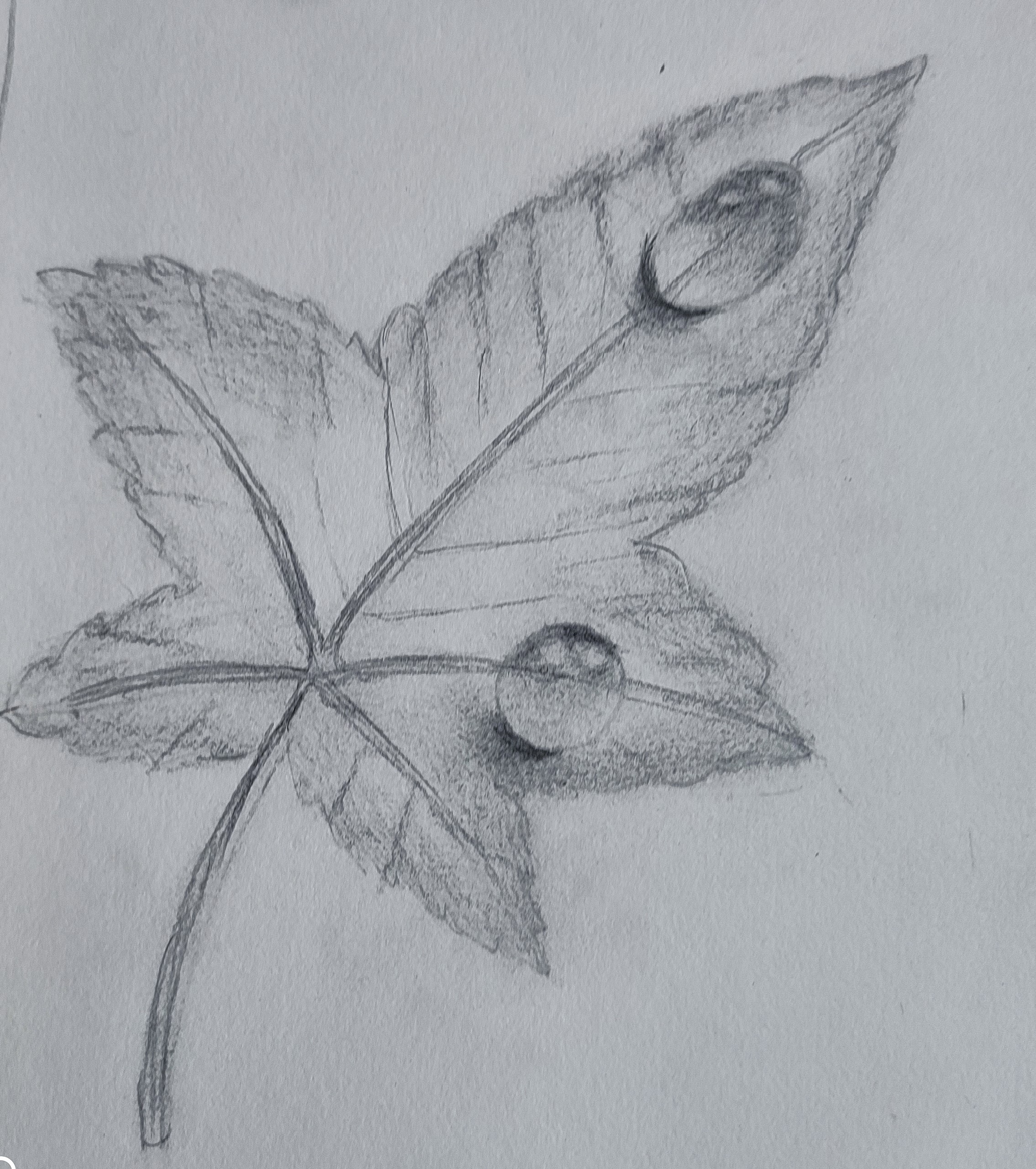 Thoughts, Just Thoughts