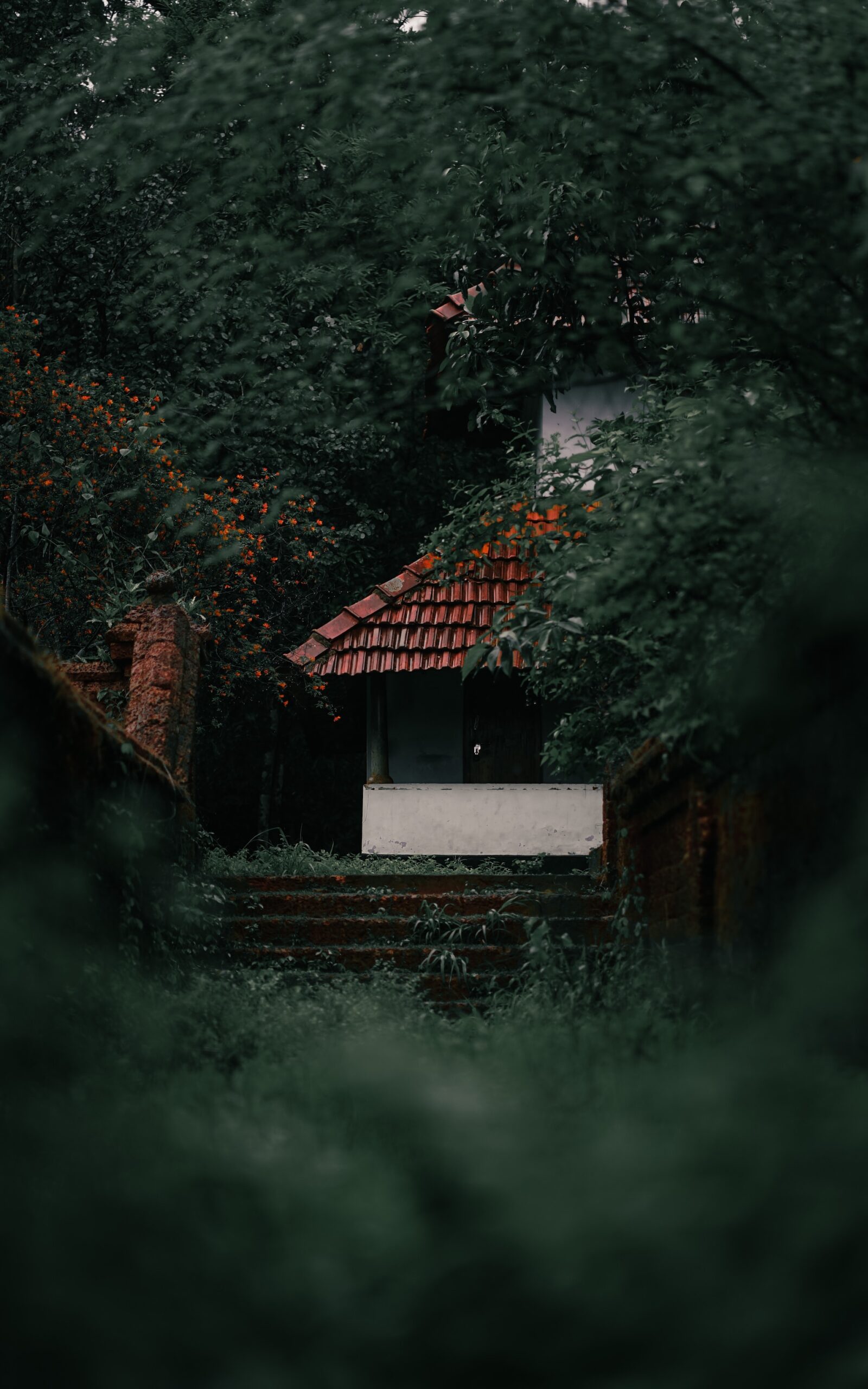 Detox and Rejuvenate