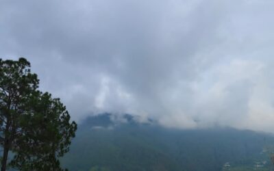 Paradise