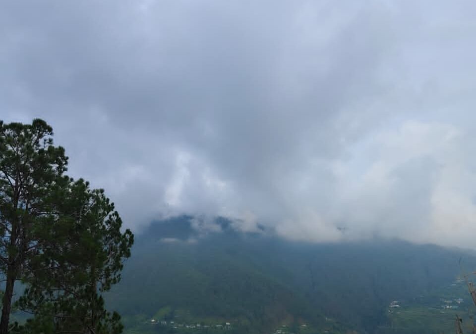 Paradise